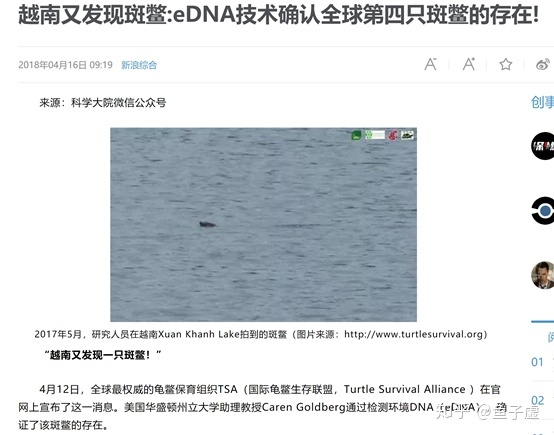 大新闻AOA体育·(中国)官方网站越南斑鳖现身已知活体仅有四只