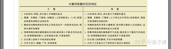 大新闻AOA体育·(中国)官方网站越南斑鳖现身已知活体仅有四只